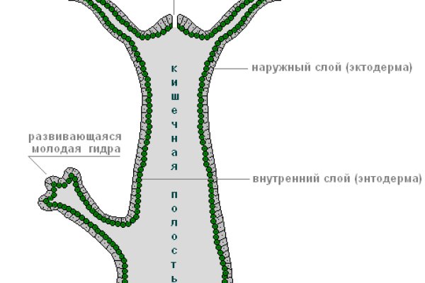 Кракен сайт пишет пользователь не найден